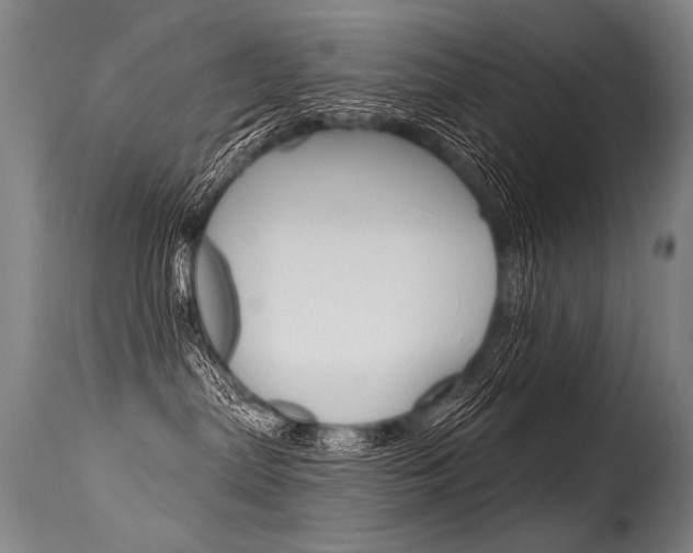 X0000115630287200911101125