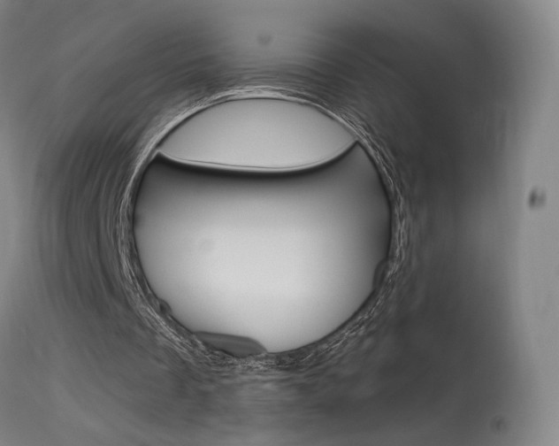 X0000115630289200911101125