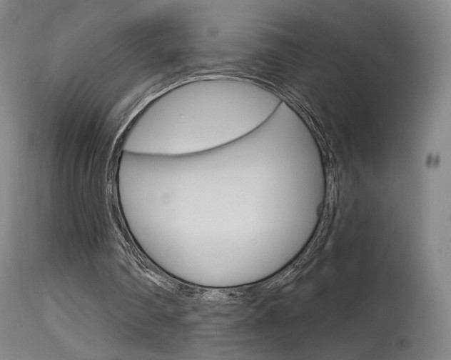 X0000115630290200911101125
