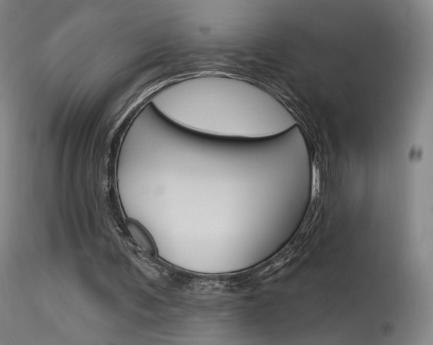 X0000115630291200911101124
