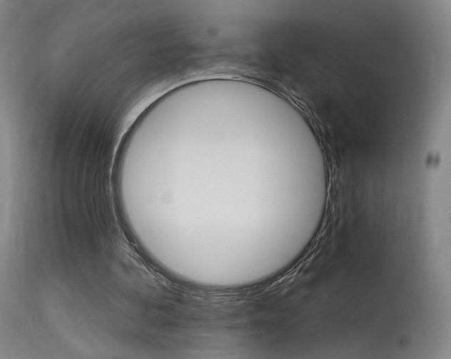 X0000115630292200911101124