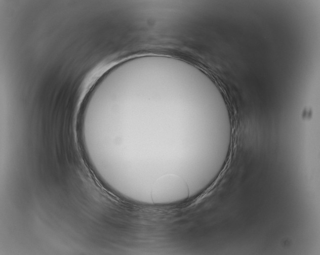 X0000115630294200911101124
