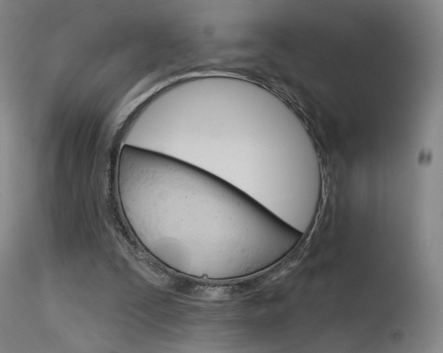 X0000115630295200911101124