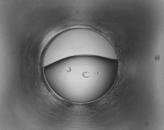 X0000115630296200911101124