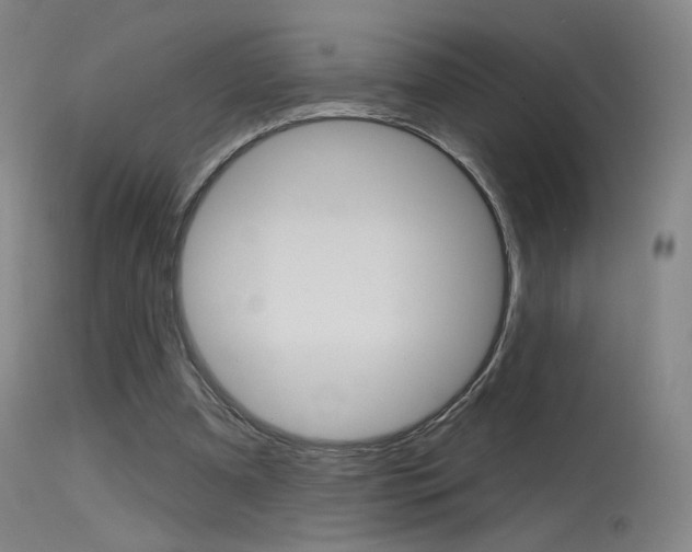X0000115630297200911101124