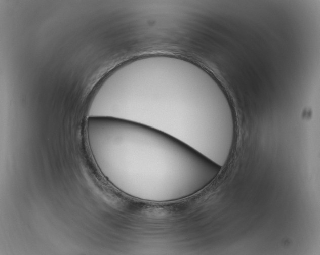 X0000115630299200911101124