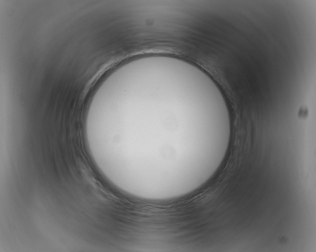 X0000115630300200911101124