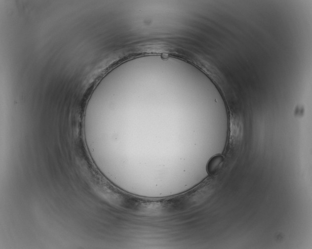 X0000115630301200911101124