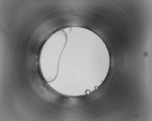 X0000115630302200911101124