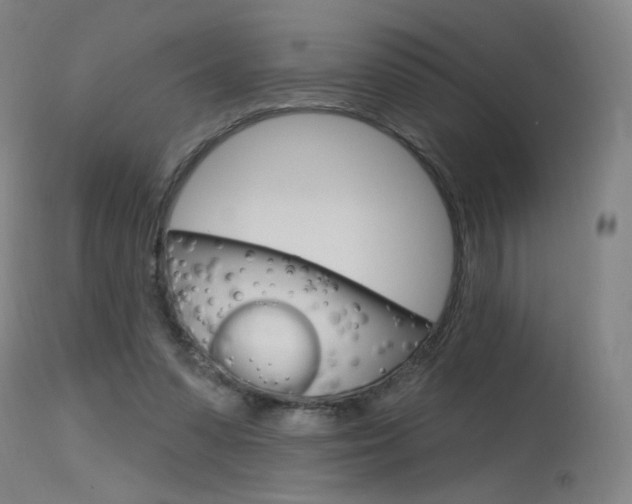 X0000115630303200911101124