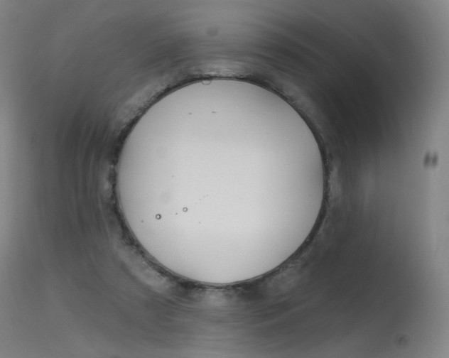 X0000115630305200911101124
