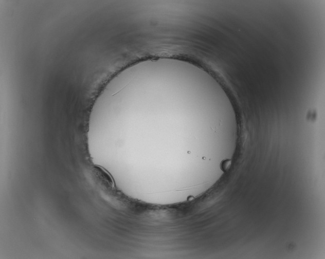 X0000115630307200911101124
