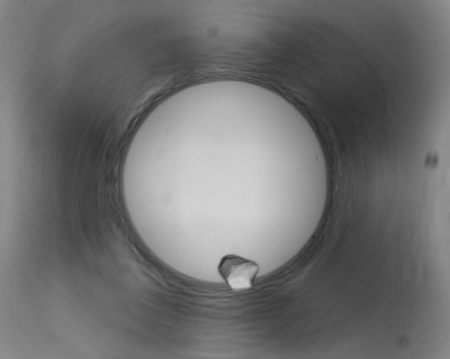X0000115630308200911101124