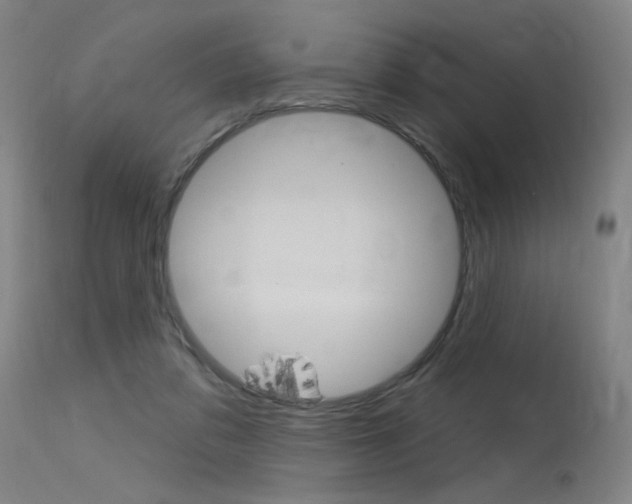 X0000115630309200911101124