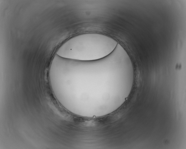 X0000115630310200911101124