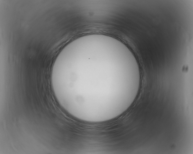 X0000115630313200911101124