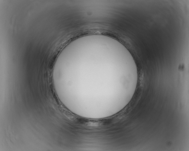 X0000115630314200911101124