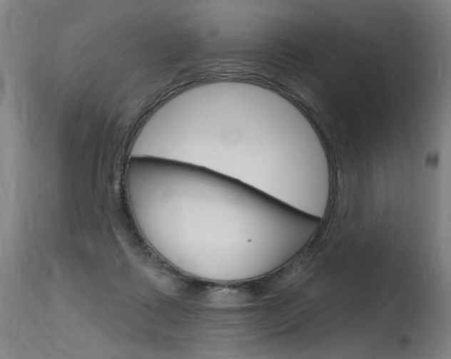 X0000115630315200911101124