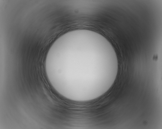 X0000115630316200911101124