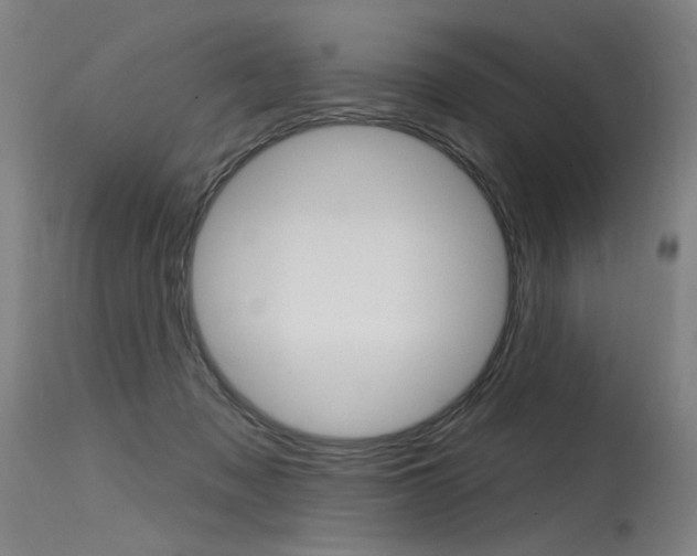 X0000115630317200911101124