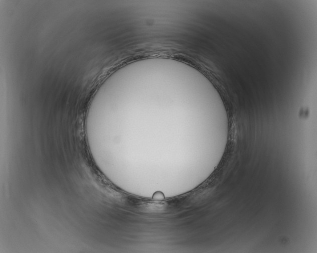 X0000115630318200911101124