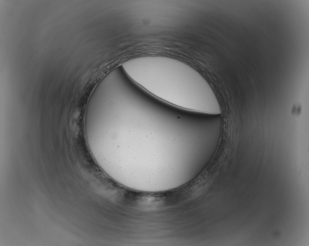 X0000115630319200911101124