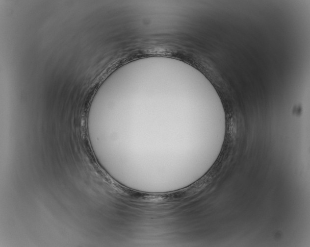 X0000115630322200911101124