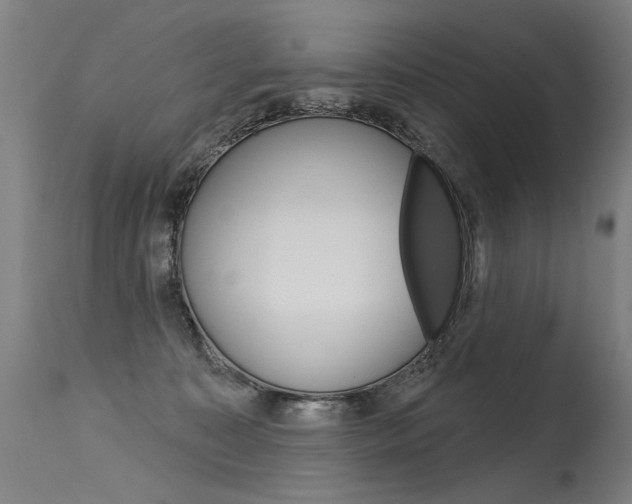 X0000115630323200911101124