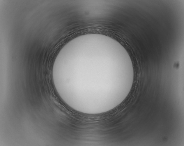 X0000115630324200911101124