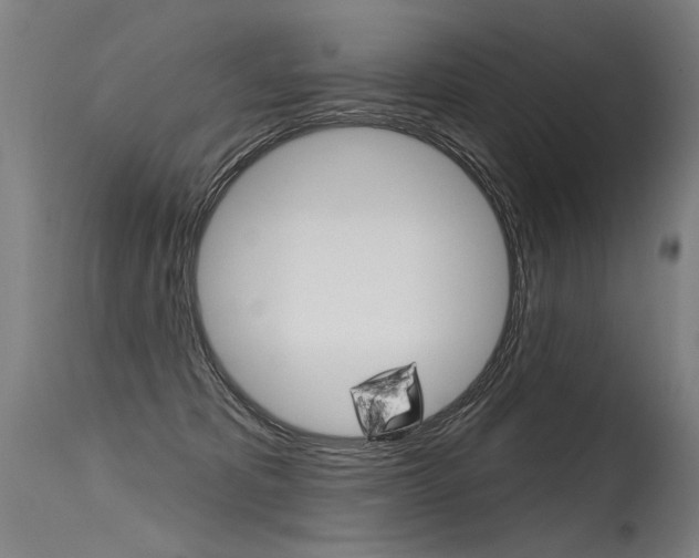 X0000115630325200911101124