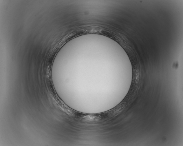 X0000115630326200911101124