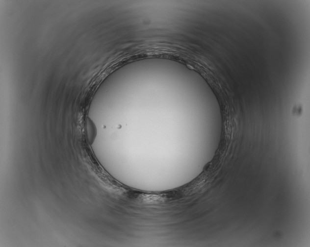 X0000115630327200911101124