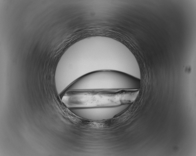 X0000115630328200911101124