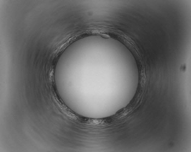 X0000115630329200911101124