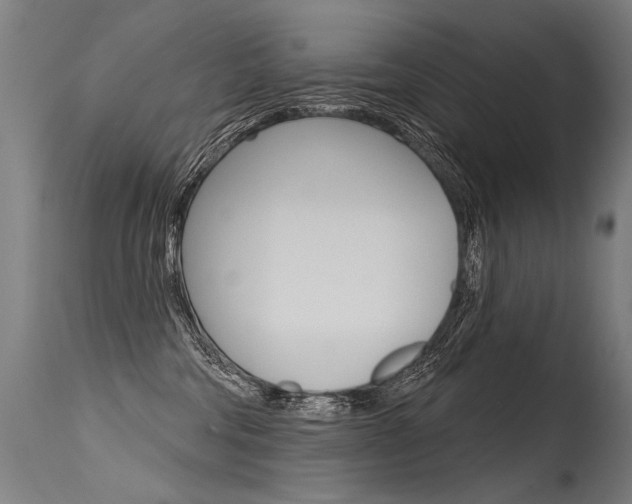 X0000115630330200911101124