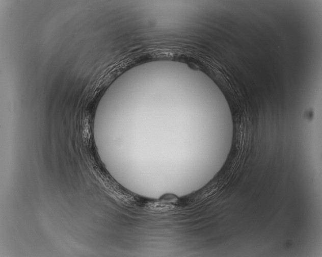 X0000115630331200911101124