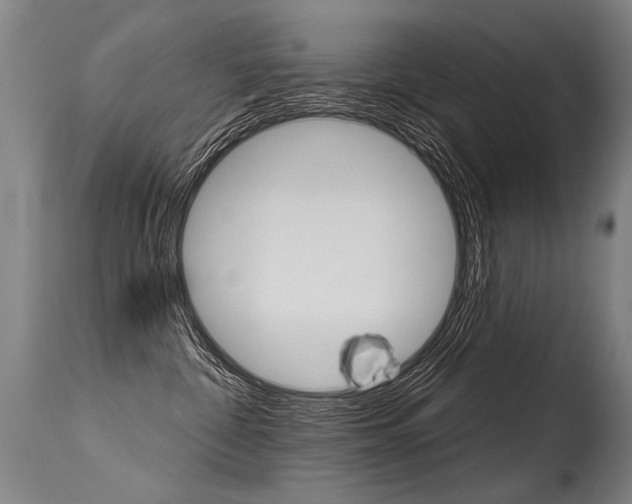 X0000115630332200911101124