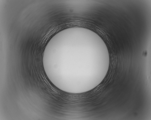 X0000115630333200911101124