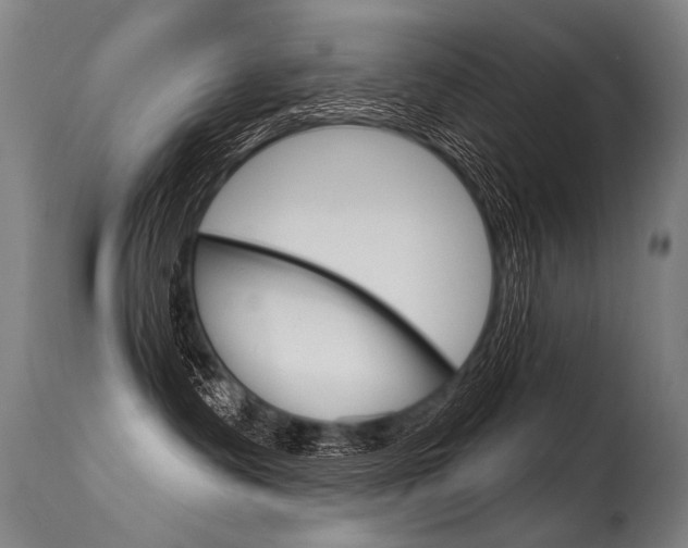 X0000115630335200911101124