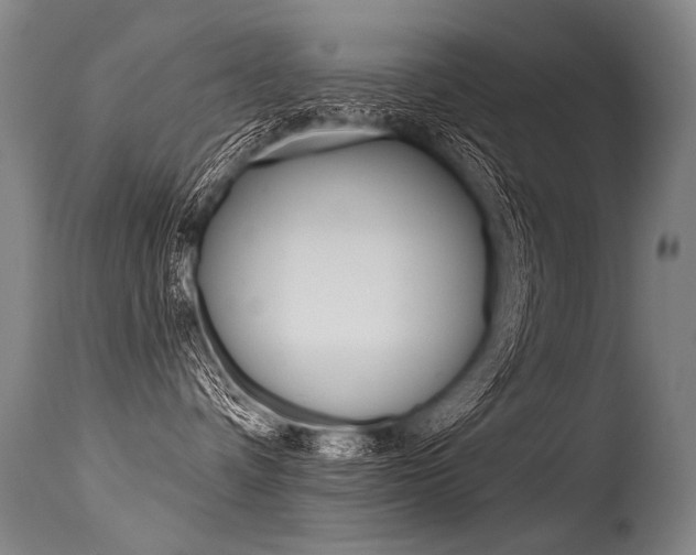 X0000115630336200911101124