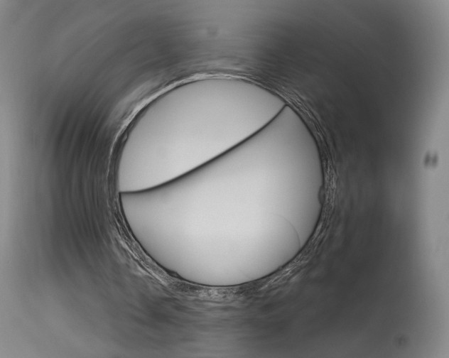 X0000115630338200911101123