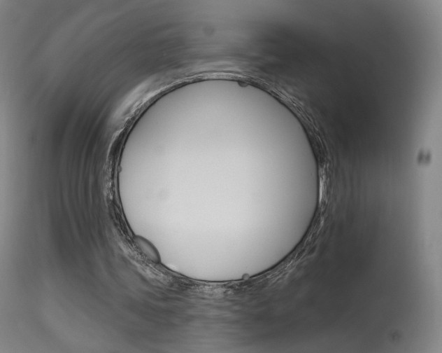 X0000115630339200911101123