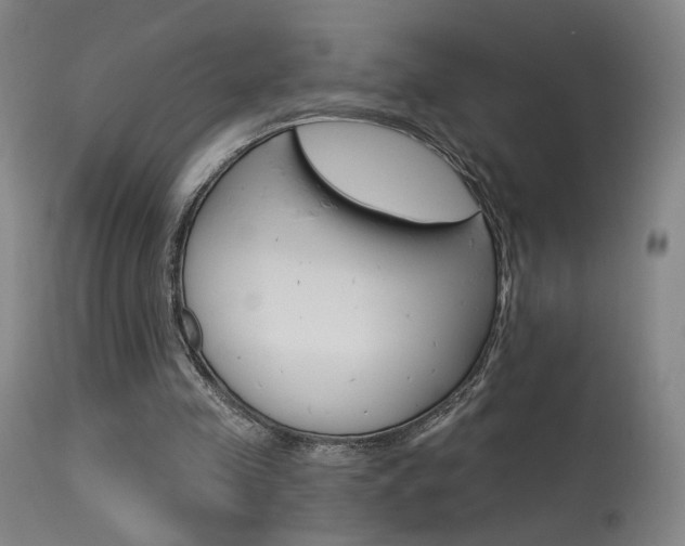 X0000115630341200911101123