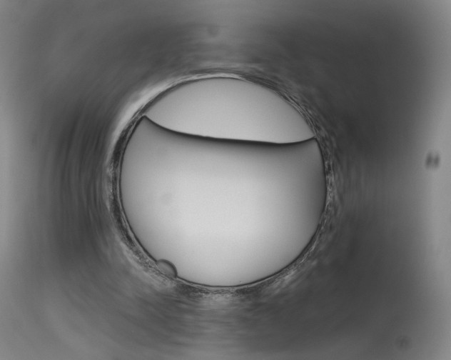 X0000115630342200911101123