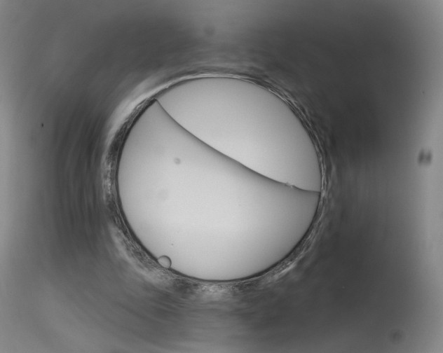 X0000115630343200911101123