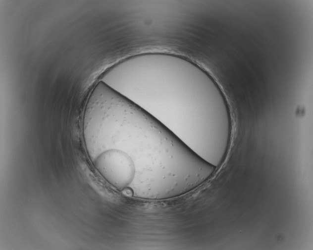 X0000115630345200911101123