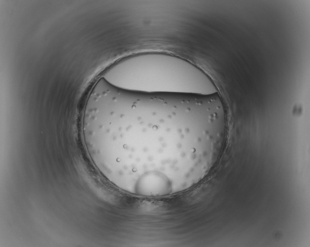 X0000115630346200911101123