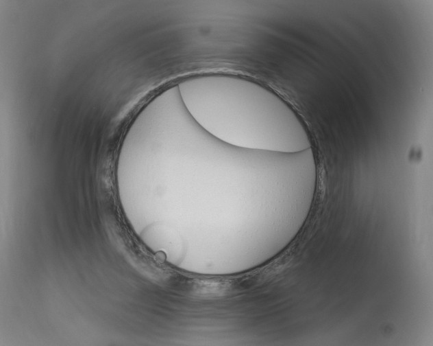 X0000115630347200911101123
