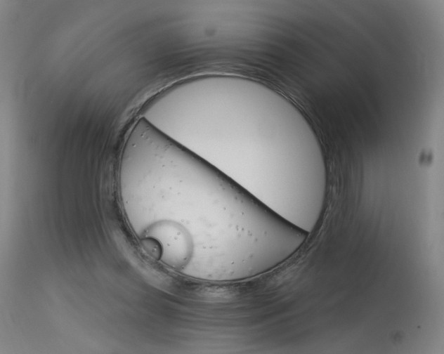 X0000115630349200911101123