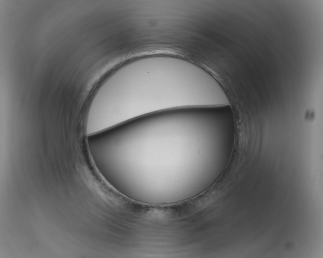 X0000115630350200911101123